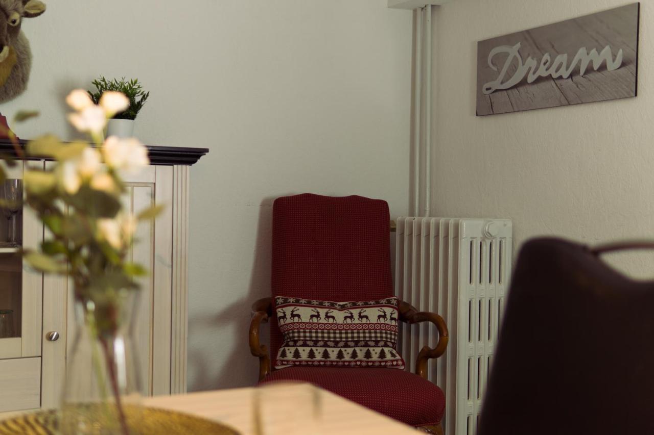 Apartment Hirsch: Wohnung Fuer Die Ganze Familie Mit Disney+ Braunlage Εξωτερικό φωτογραφία