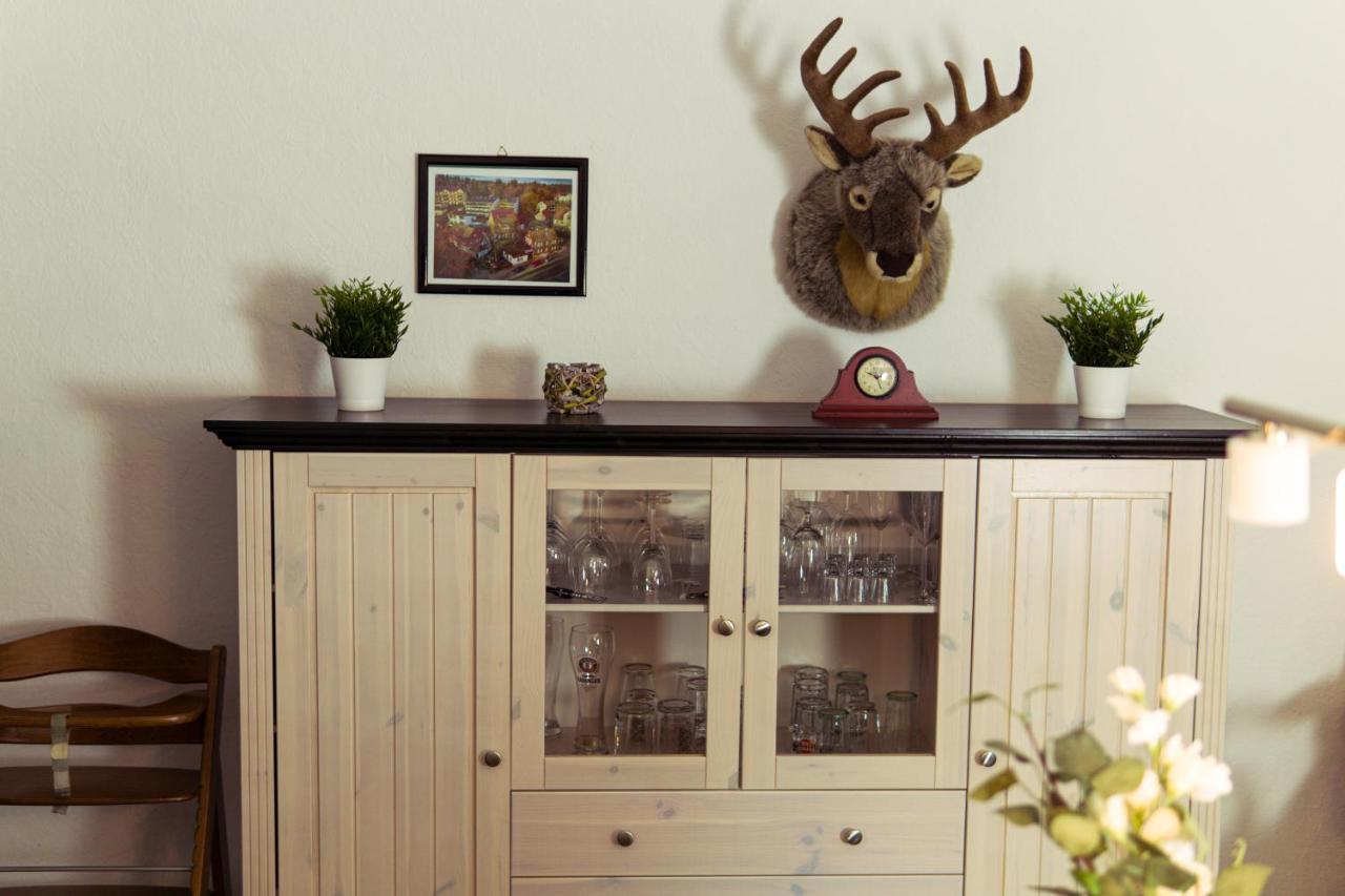 Apartment Hirsch: Wohnung Fuer Die Ganze Familie Mit Disney+ Braunlage Εξωτερικό φωτογραφία